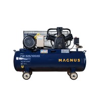 Компрессор воздушный Magnus PW-525/100АS новый фил